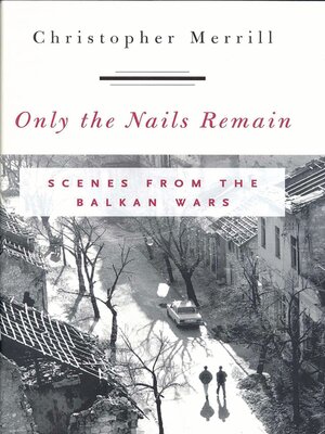 cover image of Only the Nails Remain